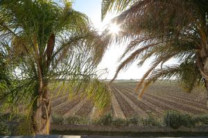 Jardí fora de Eco Green La Vigna