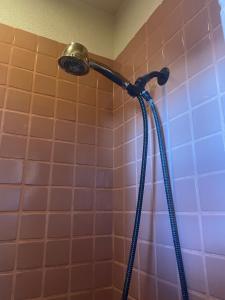 a shower with a shower head in a bathroom at Private room in Awesome Sonoma Ranch Home in Las Cruces