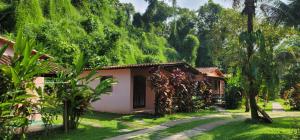 a small house in the middle of a garden at Chalés internacional l in Paraty