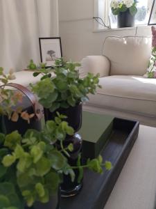 un soggiorno con divano e tavolo con piante di Det Vita Huset a Stoccolma
