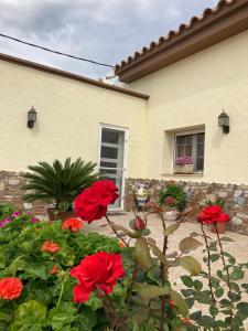 un jardín con flores rojas frente a una casa en Casa Roseta en Deltebre