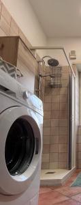 SantʼElia FiumerapidoにあるAl verde limoneのシャワー付きの客室で、洗濯機が備わります。