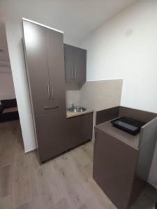 a small kitchen with a sink and a refrigerator at PČELICA in Soko Banja