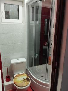 a bathroom with a toilet with a glass shower at casa Flav in Iaşi
