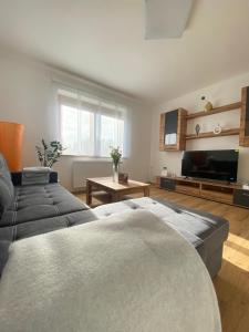 a living room with two beds and a flat screen tv at Ferienwohnung Beatrix in Wagenhub
