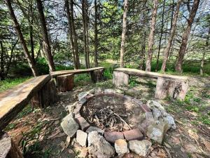 a fire pit in the middle of a forest at The Getaway 