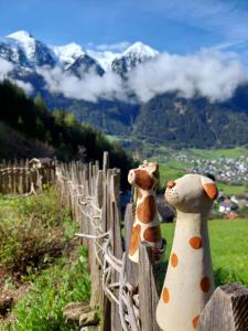 Gallery image of Wieserhof Tirol in Oetz +49 photos