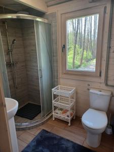 a bathroom with a shower and a toilet and a sink at Ranczo Rykowisko in Kołodzieje