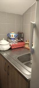 - une cuisine avec un évier et un comptoir dans l'établissement Apartmani Nikola, à Bar