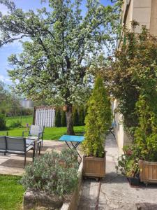 patio ze stołem, roślinami i drzewem w obiekcie Gîte La Fabrique , spa , bain nordique w mieście Les Fontenelles
