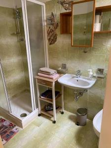 a bathroom with a shower and a sink at Appartamento a Monfalcone, con parcheggio gratuito in Monfalcone