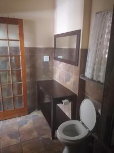 a bathroom with a toilet and a sink and a mirror at St Lucia Villa Mia 6 in St Lucia