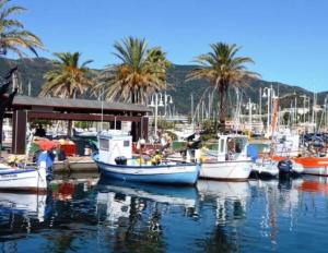 Fotografia z galérie ubytovania Les palmiers v destinácii Cavalaire-sur-Mer