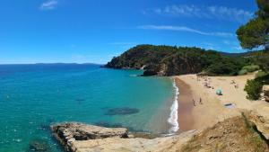 Fotografia z galérie ubytovania Les palmiers v destinácii Cavalaire-sur-Mer