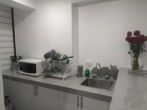 Η κουζίνα ή μικρή κουζίνα στο Miniapartamento Cusco