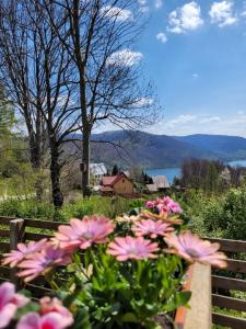 een bos roze bloemen op een bank bij Widokowy Raj Piękny Widok!! in Międzybrodzie Bialskie