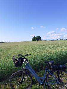 a bike parked in front of a field at L'édredon de Joséphine in Montcuq