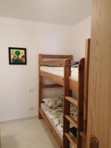 a couple of bunk beds in a room at Apartma Praprot in Mojstrana