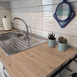 a kitchen counter with a sink and two potted plants at Da Carla Dolomiti Val di Zoldo in Val di Zoldo