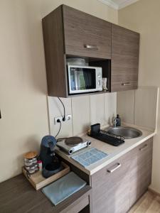 O bucătărie sau chicinetă la Waterlily Apartman +7 fotografii