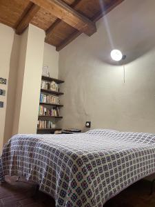 a bedroom with a bed and a book shelf at Terra della Baronia in Santo Stefano di Sessanio