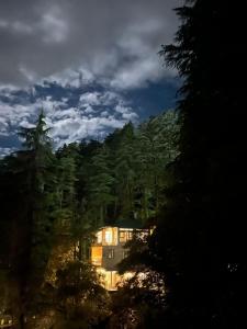 a house in the middle of a forest at Eevolve Dharamkot - An Eco Hostel in McLeod Ganj