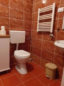 uma casa de banho com um WC e um lavatório em Apartman KGC Stara Pazova em Stara Pazova