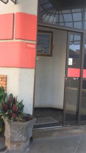 an entrance to a building with a potted plant in front at HOTEL CENTER Ribeirão in Ribeirão Preto