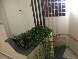 Φωτογραφία από το άλμπουμ του HOTEL CENTER Ribeirão σε Ριμπεράο Πρέτο
