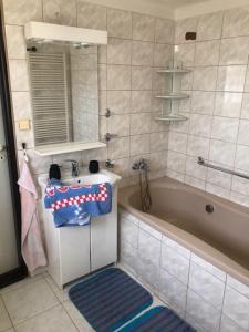 ein Badezimmer mit einer Badewanne, einem Waschbecken und einem Spiegel in der Unterkunft Apartmán Skvělá Nálada in Všemyslice