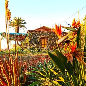a house with a bunch of plants in front of it at Casita en el campo con vista al oceano in Tijarafe
