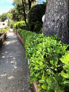 Giardino di Confortevole Bilocale Giardino Doppio Parcheggio