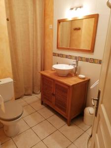 ein Badezimmer mit einem Waschbecken, einem WC und einem Spiegel in der Unterkunft Maison de village in La Tour-sur-Orb