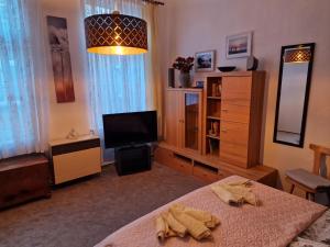 a bedroom with a bed and a flat screen tv at Ferienwohnung auf der Stadtinsel in Havelberg