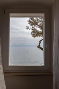 Naturlandskabet i nærheden af lejligheden