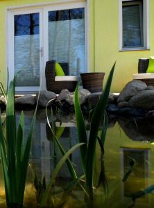 ein Haus mit einem Teich vor einem Haus in der Unterkunft Ferienwohnung Seerose in Neppermin