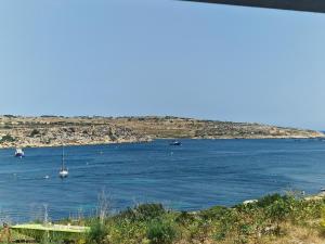 een grote hoeveelheid water met boten erin bij Seafront apartment at Waters' Edge in St Paul's Bay