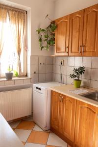 una cucina con armadi in legno e lavastoviglie bianca di Angel Apartment a Kecskemét Altre 19 foto