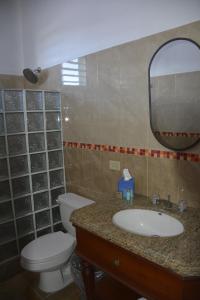 y baño con aseo, lavabo y espejo. en Turtle Bay Inn, en Lajas