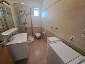 a bathroom with a toilet and a sink and a shower at Apartments Fran in Ba&scaron;ka