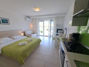 Kuchyň nebo kuchyňský kout v ubytování Apartments Fran