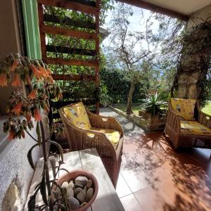 a patio with wicker chairs and a table with a plant at Agriturismo Tenuta La Fratta in Bagni di Lucca