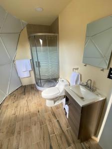a bathroom with a toilet and a shower and a sink at Luz de Luna Glamping in Pueblo Nuevo