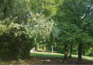 un grupo de árboles en un parque con césped verde en La Magnolia Apartments V Sunflower, en Desenzano del Garda 5 fotos más