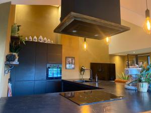 cocina con fregadero y encimera en Hoeve Vierhuyse, en Akersloot