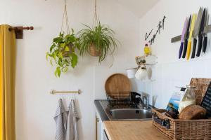 a kitchen with a sink and potted plants on the wall at Porthcurno Barns, The Big Barn - Spacious & cosy cottage, walk to Porthcurno beach, Pedn Vouder & Minack Theatre in Penzance