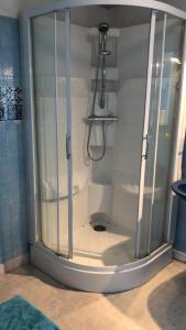 een douche met een glazen deur in de badkamer bij Petite maison avec terrasse in Jurançon