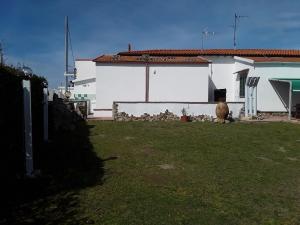 a sheep sitting in a yard next to a house at Villetta a schiera nei pressi del mare in Livorno