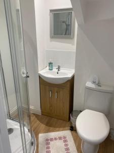 a bathroom with a toilet and a sink and a shower at Parliament in Gloucester