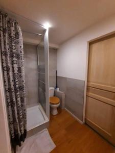 a small bathroom with a toilet and a shower at Logement Sainte-Énimie in Sainte-Énimie